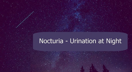 Why Do So Many Older Adults Struggle with Nocturia at Night?